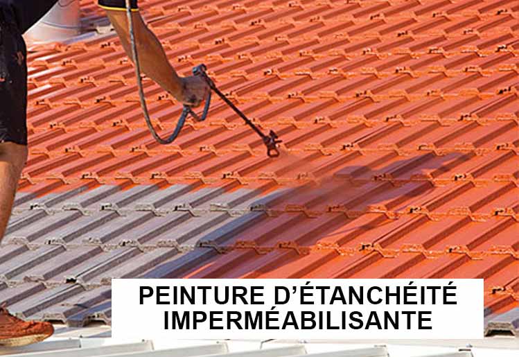 Peinture hydrofuge LAFFONTOITURE 31