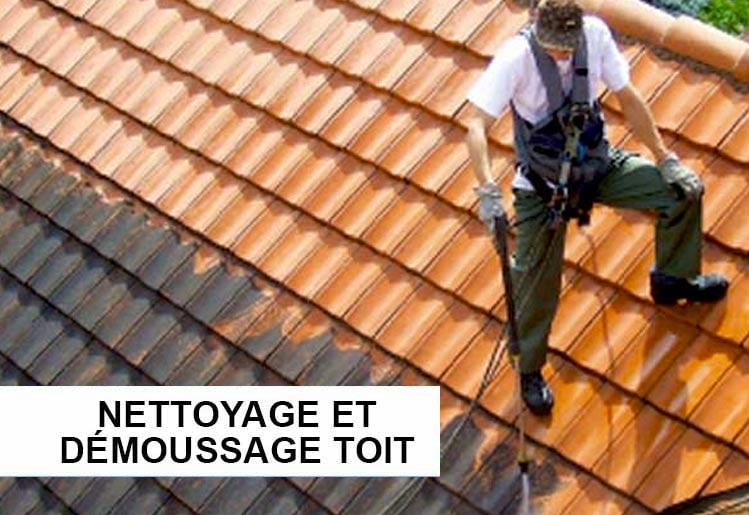 Nettoyage et démoussage toit LAFFONTOITURE 31